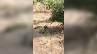 Olivewood (Olive Wood aka OliveWoodMFC) OnlyFans Leaks Red Head Slut is Horny Porn Video 588