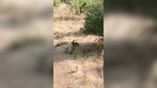 Olivewood (Olive Wood aka OliveWoodMFC) OnlyFans Leaks Red Head Slut is Horny Porn Video 588