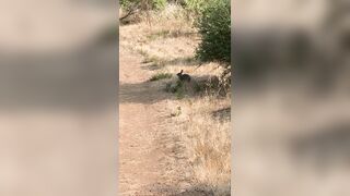 Olivewood (Olive Wood aka OliveWoodMFC) OnlyFans Leaks Red Head Slut is Horny Porn Video 588