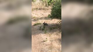 Olivewood (Olive Wood aka OliveWoodMFC) OnlyFans Leaks Red Head Slut is Horny Porn Video 588