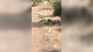 Olivewood (Olive Wood aka OliveWoodMFC) OnlyFans Leaks Red Head Slut is Horny Porn Video 588