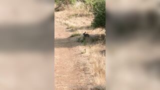 Olivewood (Olive Wood aka OliveWoodMFC) OnlyFans Leaks Red Head Slut is Horny Porn Video 588