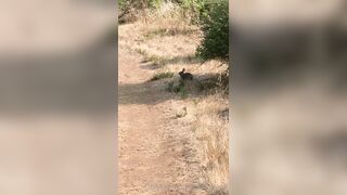 Olivewood (Olive Wood aka OliveWoodMFC) OnlyFans Leaks Red Head Slut is Horny Porn Video 588