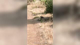 Olivewood (Olive Wood aka OliveWoodMFC) OnlyFans Leaks Red Head Slut is Horny Porn Video 588