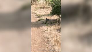 Olivewood (Olive Wood aka OliveWoodMFC) OnlyFans Leaks Red Head Slut is Horny Porn Video 588