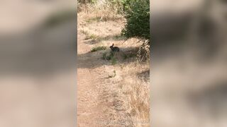 Olivewood (Olive Wood aka OliveWoodMFC) OnlyFans Leaks Red Head Slut is Horny Porn Video 588