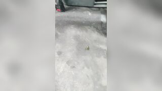 Sashasteele (Sasha Steele aka sashasteele111) OnlyFans Leaks mistresssashasteele UK Milf Performer Porn  22