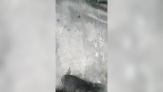 Sashasteele (Sasha Steele aka sashasteele111) OnlyFans Leaks mistresssashasteele UK Milf Performer Porn  22