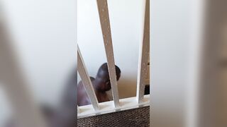 Sashasteele (Sasha Steele aka sashasteele111) OnlyFans Leaks mistresssashasteele UK Milf Performer Porn  133