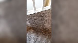 Sashasteele (Sasha Steele aka sashasteele111) OnlyFans Leaks mistresssashasteele UK Milf Performer Porn  133