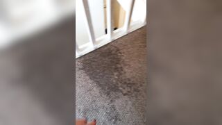 Sashasteele (Sasha Steele aka sashasteele111) OnlyFans Leaks mistresssashasteele UK Milf Performer Porn  133