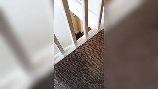 Sashasteele (Sasha Steele aka sashasteele111) OnlyFans Leaks mistresssashasteele UK Milf Performer Porn  133