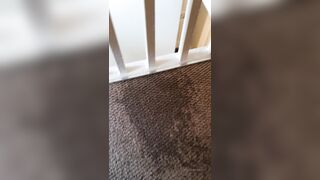 Sashasteele (Sasha Steele aka sashasteele111) OnlyFans Leaks mistresssashasteele UK Milf Performer Porn  133