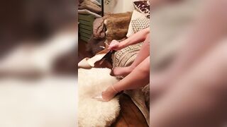 Sashasteele (Sasha Steele aka sashasteele111) OnlyFans Leaks mistresssashasteele UK Milf Performer Porn  146