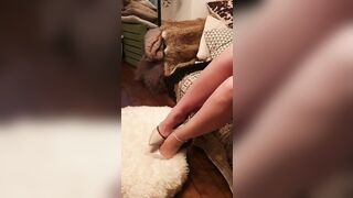 Sashasteele (Sasha Steele aka sashasteele111) OnlyFans Leaks mistresssashasteele UK Milf Performer Porn  146