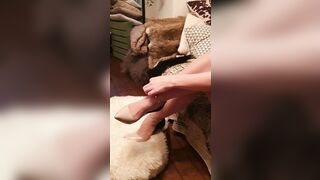 Sashasteele (Sasha Steele aka sashasteele111) OnlyFans Leaks mistresssashasteele UK Milf Performer Porn  146