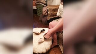 Sashasteele (Sasha Steele aka sashasteele111) OnlyFans Leaks mistresssashasteele UK Milf Performer Porn  146