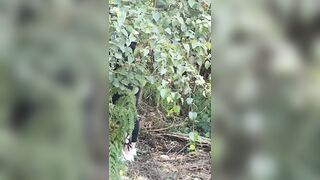 Sashasteele (Sasha Steele aka sashasteele111) OnlyFans Leaks mistresssashasteele UK Milf Performer Porn  67