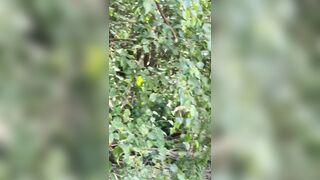 Sashasteele (Sasha Steele aka sashasteele111) OnlyFans Leaks mistresssashasteele UK Milf Performer Porn  67