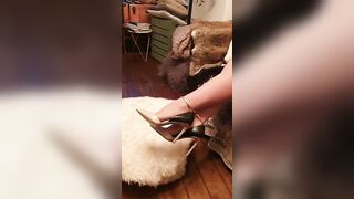 Sashasteele (Sasha Steele aka sashasteele111) OnlyFans Leaks mistresssashasteele UK Milf Performer Porn  145