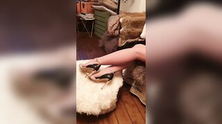 Sashasteele (Sasha Steele aka sashasteele111) OnlyFans Leaks mistresssashasteele UK Milf Performer Porn  145