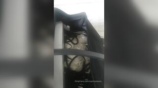 Sashasteele (Sasha Steele aka sashasteele111) OnlyFans Leaks mistresssashasteele UK Milf Performer Porn  246