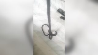 Sashasteele (Sasha Steele aka sashasteele111) OnlyFans Leaks mistresssashasteele UK Milf Performer Porn  246