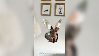 Connperignon (Connie Perignon aka connieperignon) Taiwanese Queen Supreme & Internet Harlot meetperignon 59