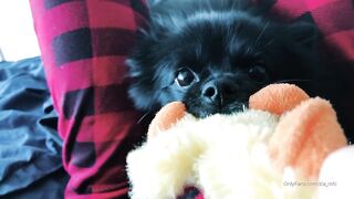 Ziafox (Zia Fox aka ZF aka zia_mfc) OnlyFans Leaks ON Hitatus Juicy Busty Young Milf Porn 113