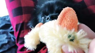 Ziafox (Zia Fox aka ZF aka zia_mfc) OnlyFans Leaks ON Hitatus Juicy Busty Young Milf Porn 113