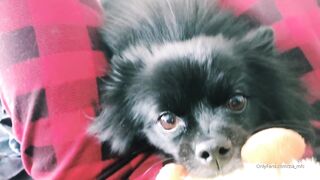 Ziafox (Zia Fox aka ZF aka zia_mfc) OnlyFans Leaks ON Hitatus Juicy Busty Young Milf Porn 113