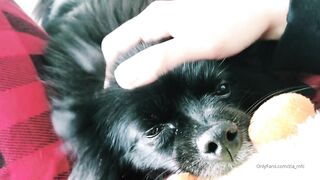 Ziafox (Zia Fox aka ZF aka zia_mfc) OnlyFans Leaks ON Hitatus Juicy Busty Young Milf Porn 113