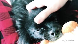 Ziafox (Zia Fox aka ZF aka zia_mfc) OnlyFans Leaks ON Hitatus Juicy Busty Young Milf Porn 113