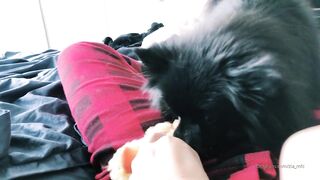 Ziafox (Zia Fox aka ZF aka zia_mfc) OnlyFans Leaks ON Hitatus Juicy Busty Young Milf Porn 113