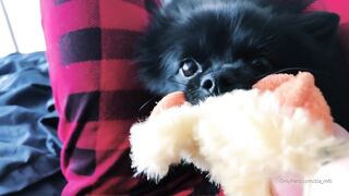 Ziafox (Zia Fox aka ZF aka zia_mfc) OnlyFans Leaks ON Hitatus Juicy Busty Young Milf Porn 113