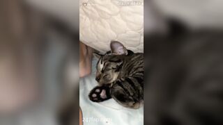 Talisa Novosad Social Media Leaked Amateur Nude Girl Porn Video 19