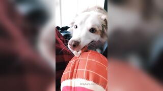 Ziafox (Zia Fox aka ZF aka zia_mfc) OnlyFans Leaks ON Hitatus Juicy Busty Young Milf Porn 114