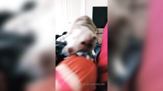 Ziafox (Zia Fox aka ZF aka zia_mfc) OnlyFans Leaks ON Hitatus Juicy Busty Young Milf Porn 114