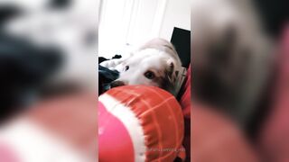 Ziafox (Zia Fox aka ZF aka zia_mfc) OnlyFans Leaks ON Hitatus Juicy Busty Young Milf Porn 114