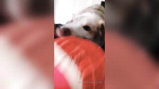 Ziafox (Zia Fox aka ZF aka zia_mfc) OnlyFans Leaks ON Hitatus Juicy Busty Young Milf Porn 114