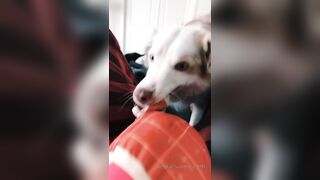 Ziafox (Zia Fox aka ZF aka zia_mfc) OnlyFans Leaks ON Hitatus Juicy Busty Young Milf Porn 114