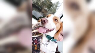 Danifae (Dani Fae aka itsdanifae) OnlyFans Leaks daniandsebastian danifae2.0 Blondie Porn 36