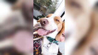 Danifae (Dani Fae aka itsdanifae) OnlyFans Leaks daniandsebastian danifae2.0 Blondie Porn 36