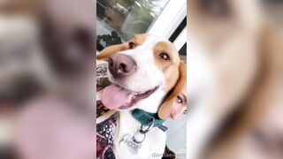 Danifae (Dani Fae aka itsdanifae) OnlyFans Leaks daniandsebastian danifae2.0 Blondie Porn 36