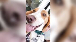 Danifae (Dani Fae aka itsdanifae) OnlyFans Leaks daniandsebastian danifae2.0 Blondie Porn 36