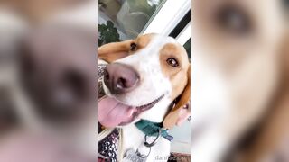 Danifae (Dani Fae aka itsdanifae) OnlyFans Leaks daniandsebastian danifae2.0 Blondie Porn 36