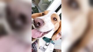 Danifae (Dani Fae aka itsdanifae) OnlyFans Leaks daniandsebastian danifae2.0 Blondie Porn 36