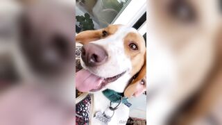 Danifae (Dani Fae aka itsdanifae) OnlyFans Leaks daniandsebastian danifae2.0 Blondie Porn 36