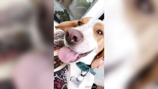 Danifae (Dani Fae aka itsdanifae) OnlyFans Leaks daniandsebastian danifae2.0 Blondie Porn 36