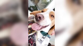 Danifae (Dani Fae aka itsdanifae) OnlyFans Leaks daniandsebastian danifae2.0 Blondie Porn 36